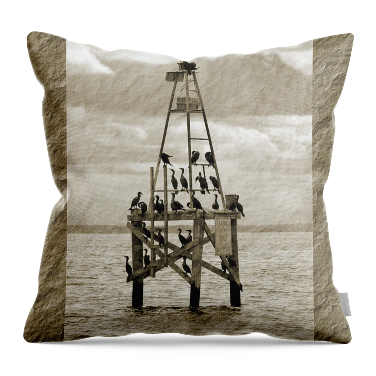 Birds Throw Pillow featuring the photograph Family Reunion by Donna Proctor