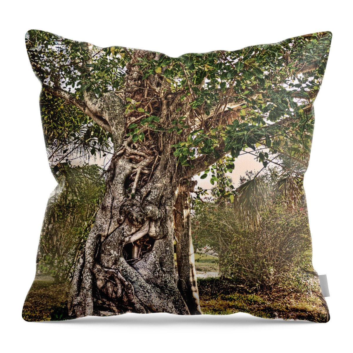 Ent Throw Pillow featuring the photograph Fangorn by William Fields