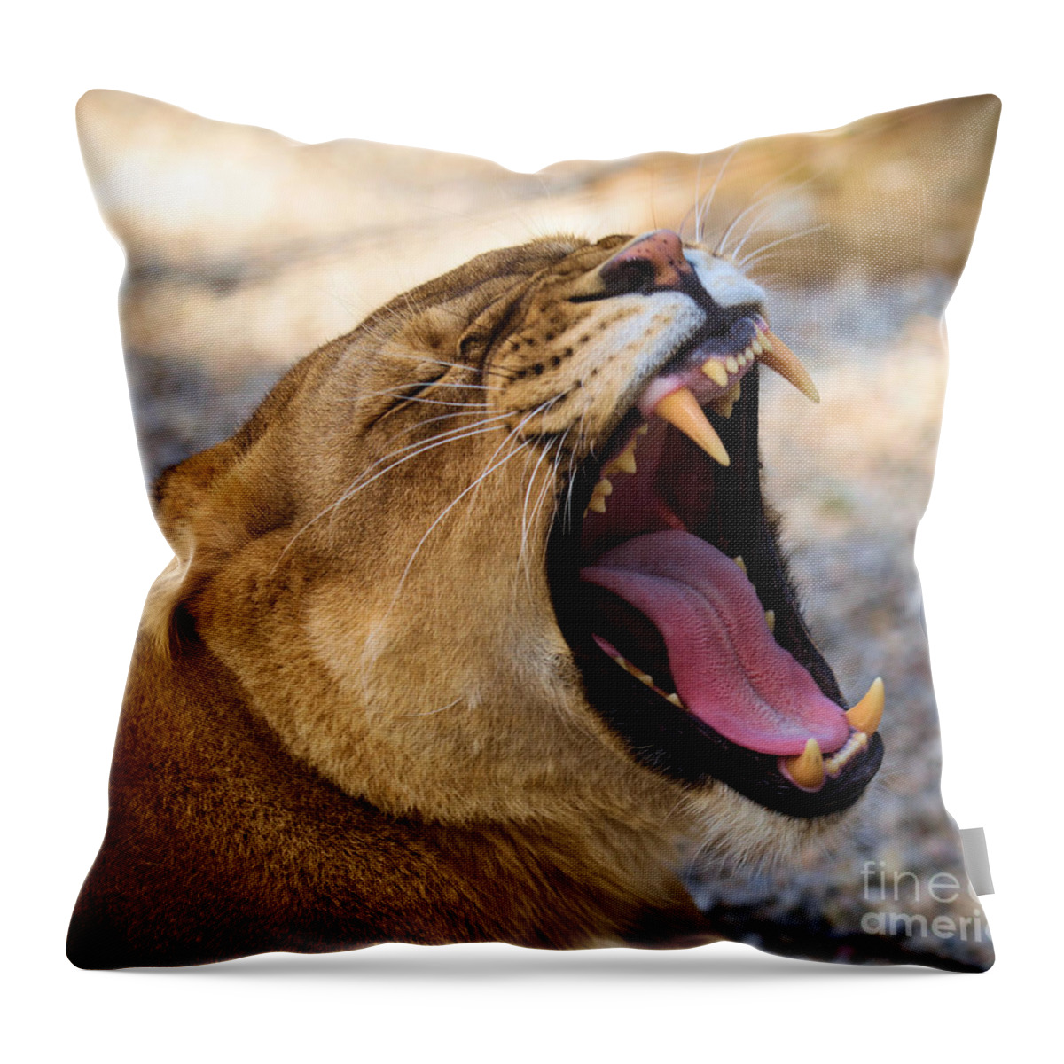 Lion Throw Pillow featuring the photograph Fangs by Adam Jewell