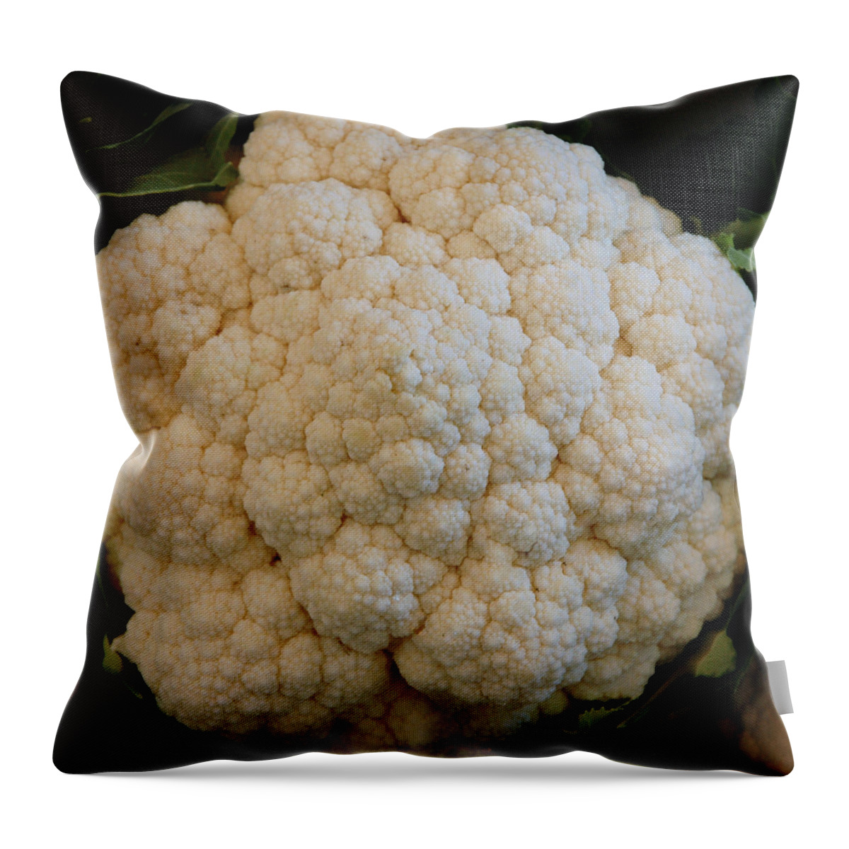 Usa Throw Pillow featuring the photograph Farm Fresh Cauliflower by LeeAnn McLaneGoetz McLaneGoetzStudioLLCcom