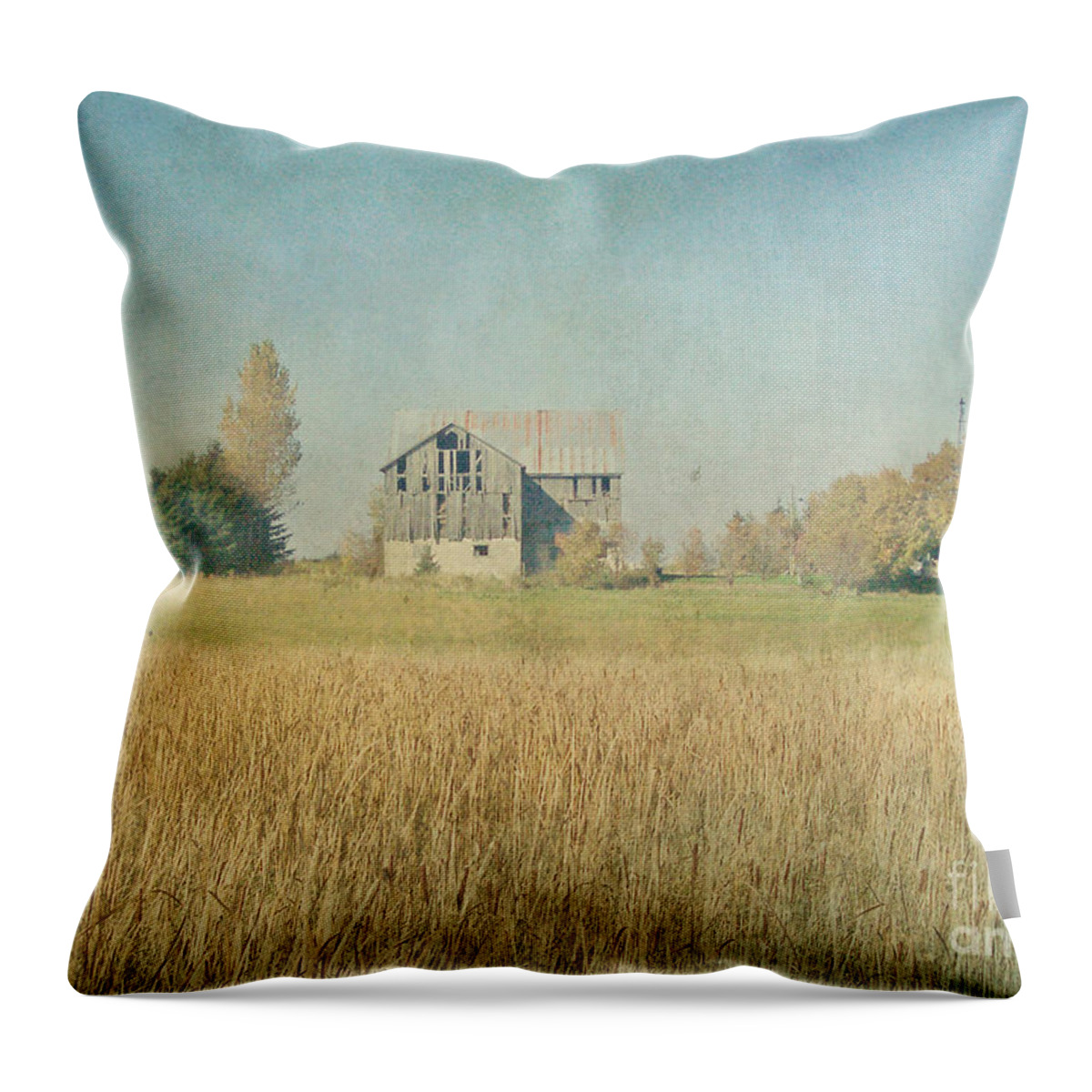 Vintage Inspired Throw Pillow featuring the photograph Farm House by Traci Cottingham