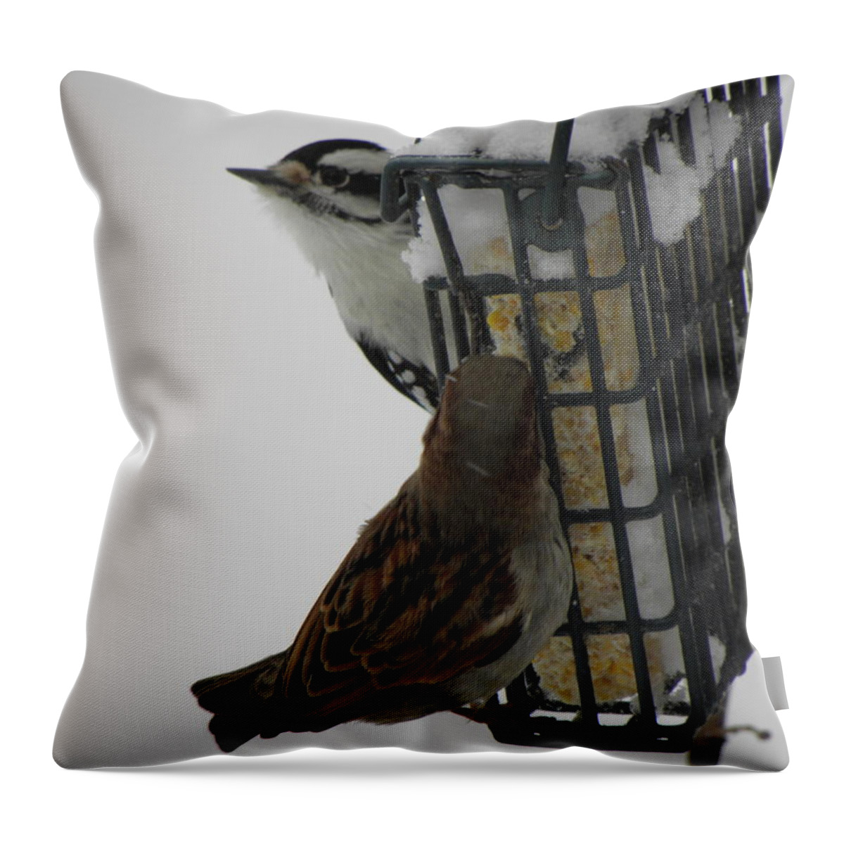 Downy Throw Pillow featuring the photograph Feeding Time After The Storm by Kim Galluzzo