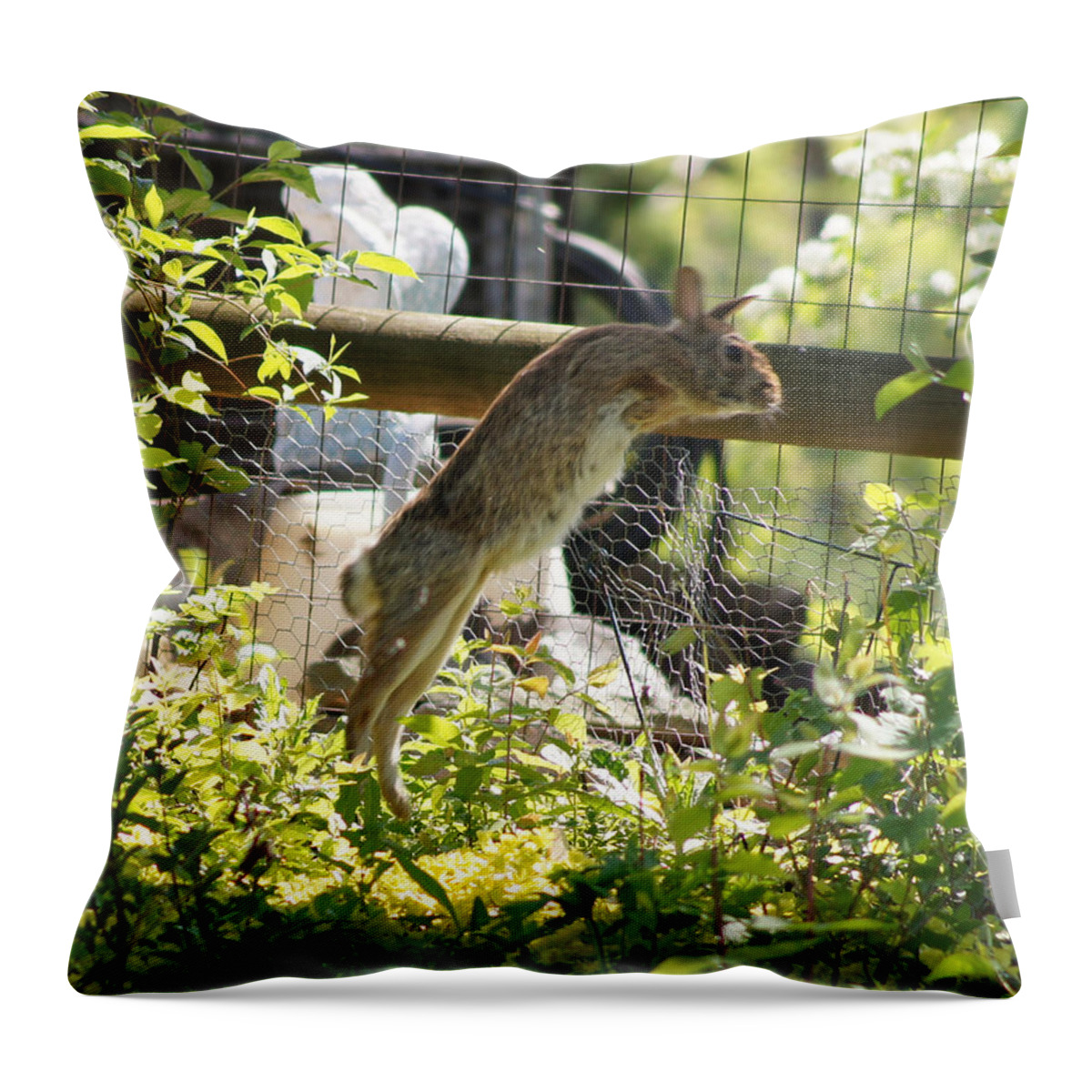 Rabbit Throw Pillow featuring the photograph Fence Jumping Rabbit by Robert E Alter Reflections of Infinity