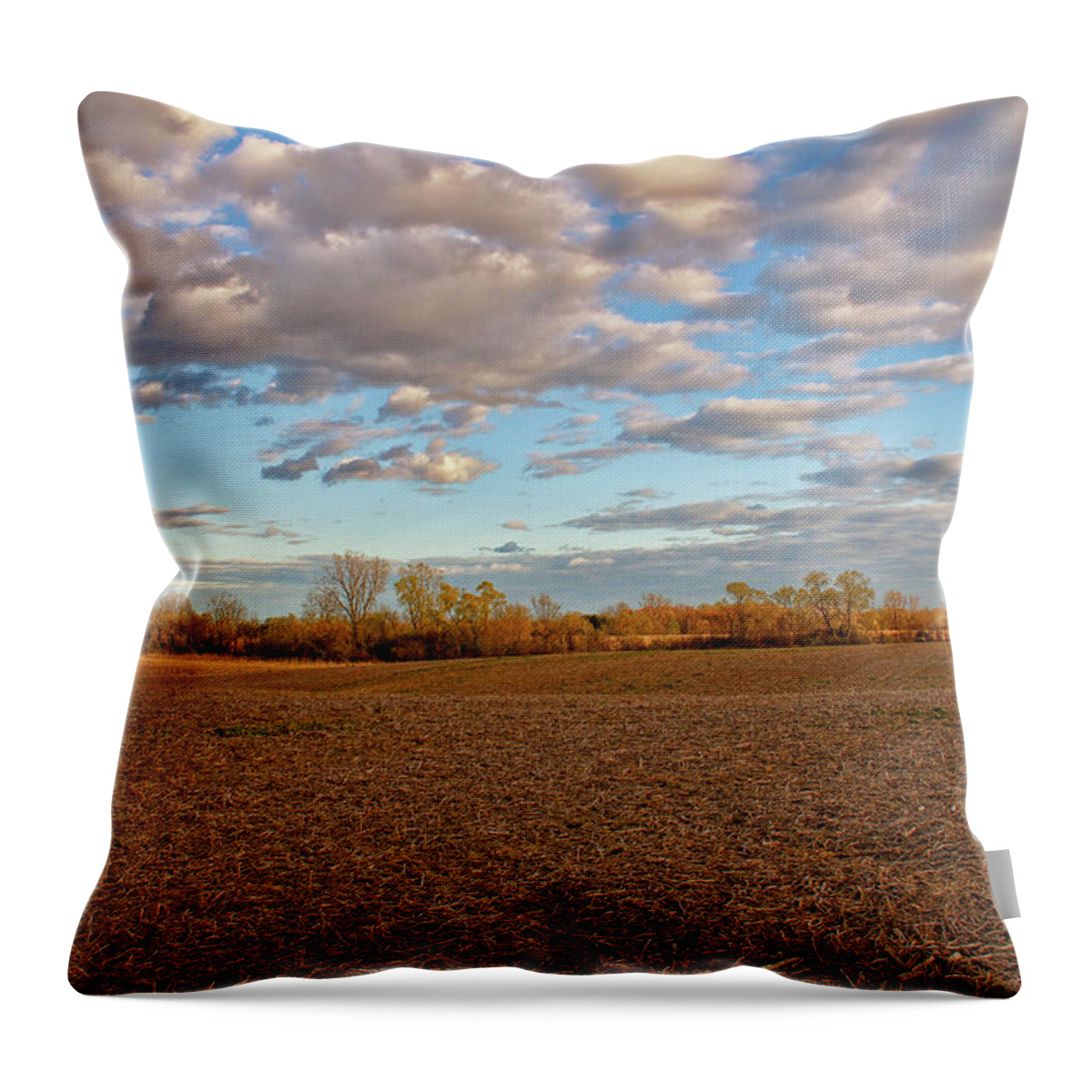 Field Throw Pillow featuring the photograph Field of Clouds by Rachel Cohen