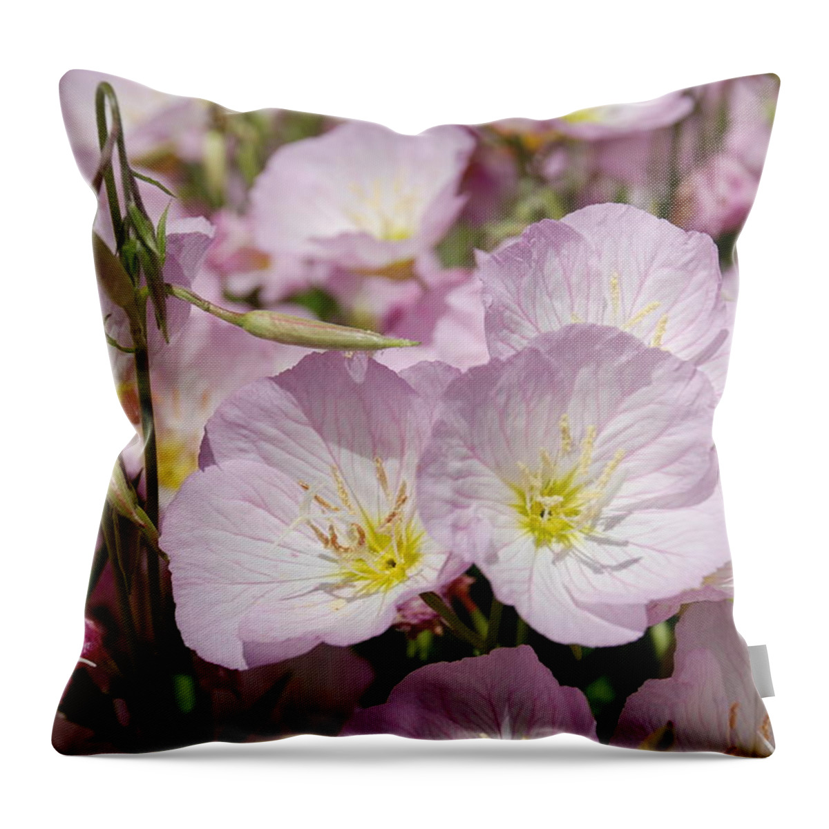 Pink Throw Pillow featuring the photograph Field Of Pink by Devin Rader