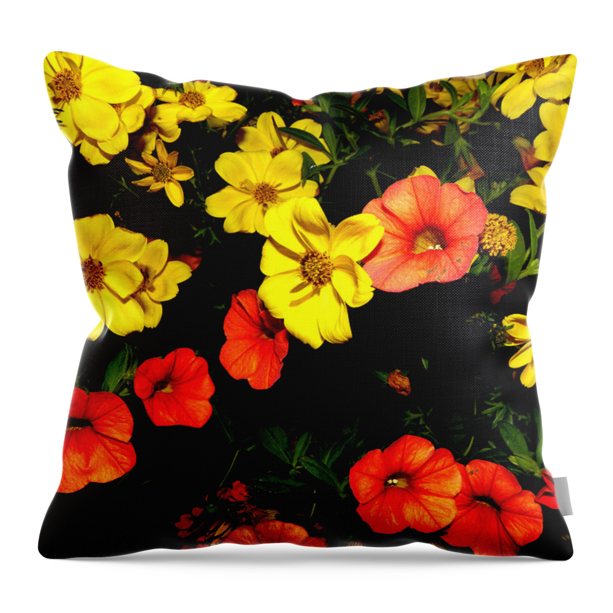 Flowers Throw Pillow featuring the photograph Fire Colors by Kim Galluzzo