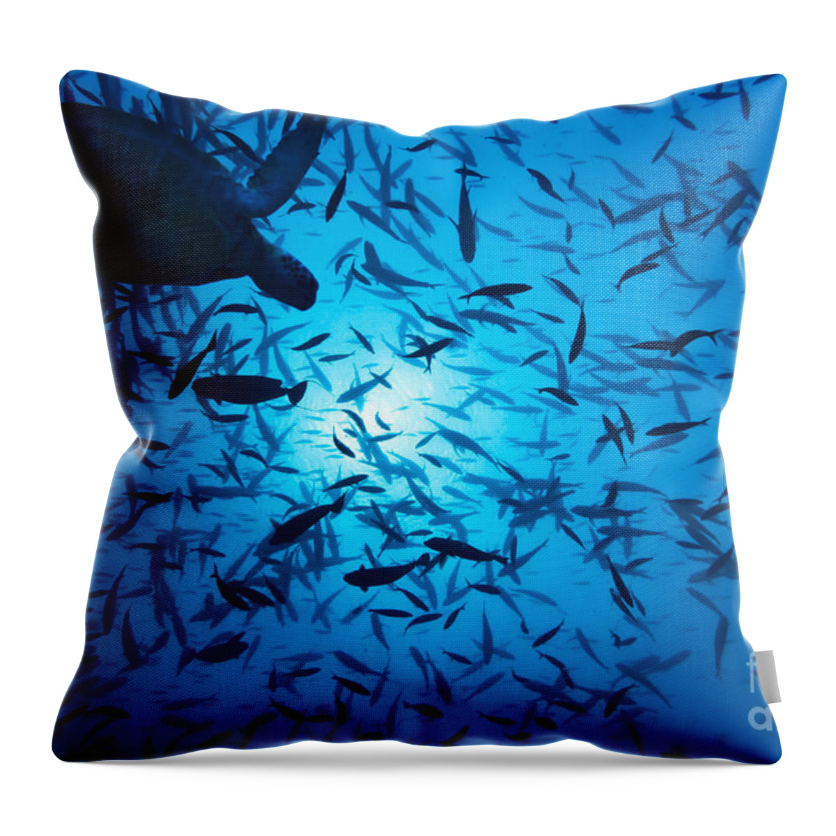 Underwater Throw Pillow featuring the photograph Fishes and turtle by MotHaiBaPhoto Prints