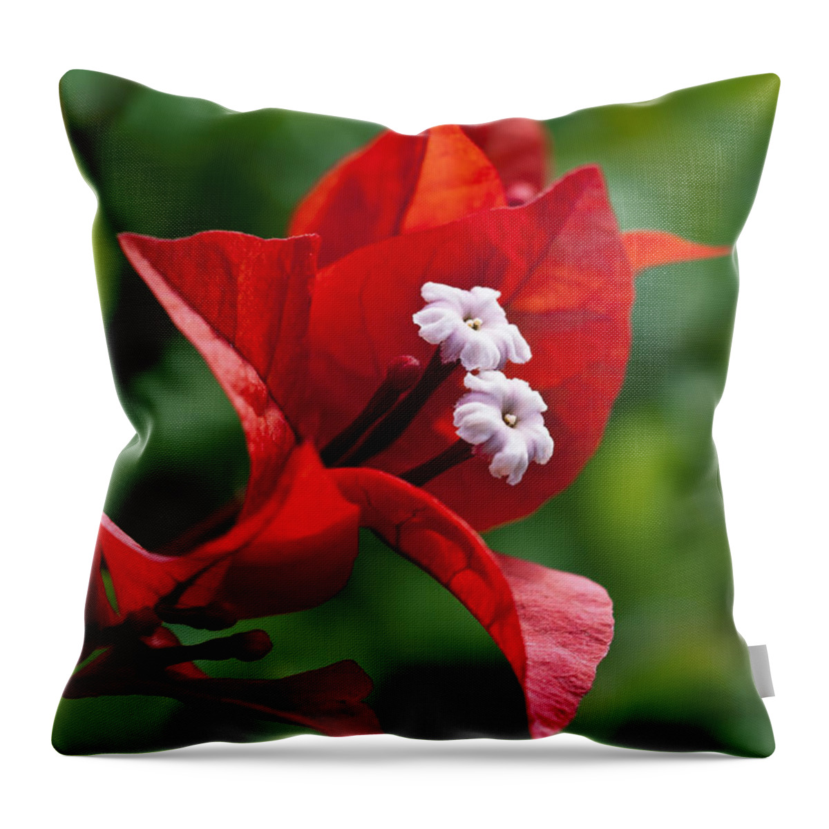 Arch Throw Pillow featuring the photograph Flame Red Bougainvillea II by Joe Carini - Printscapes