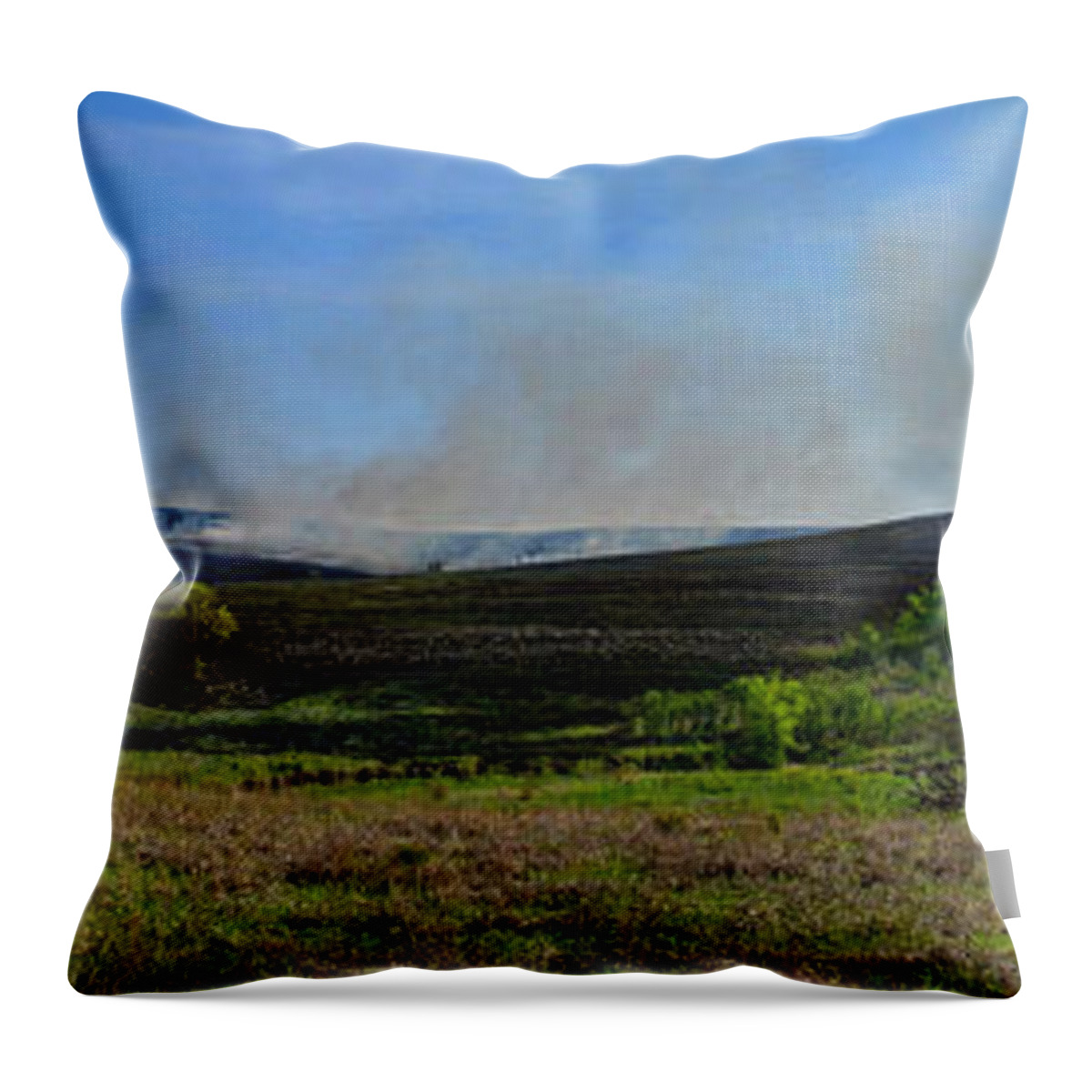 Burn Throw Pillow featuring the photograph Flint Hills Controlled Burn by Alan Hutchins