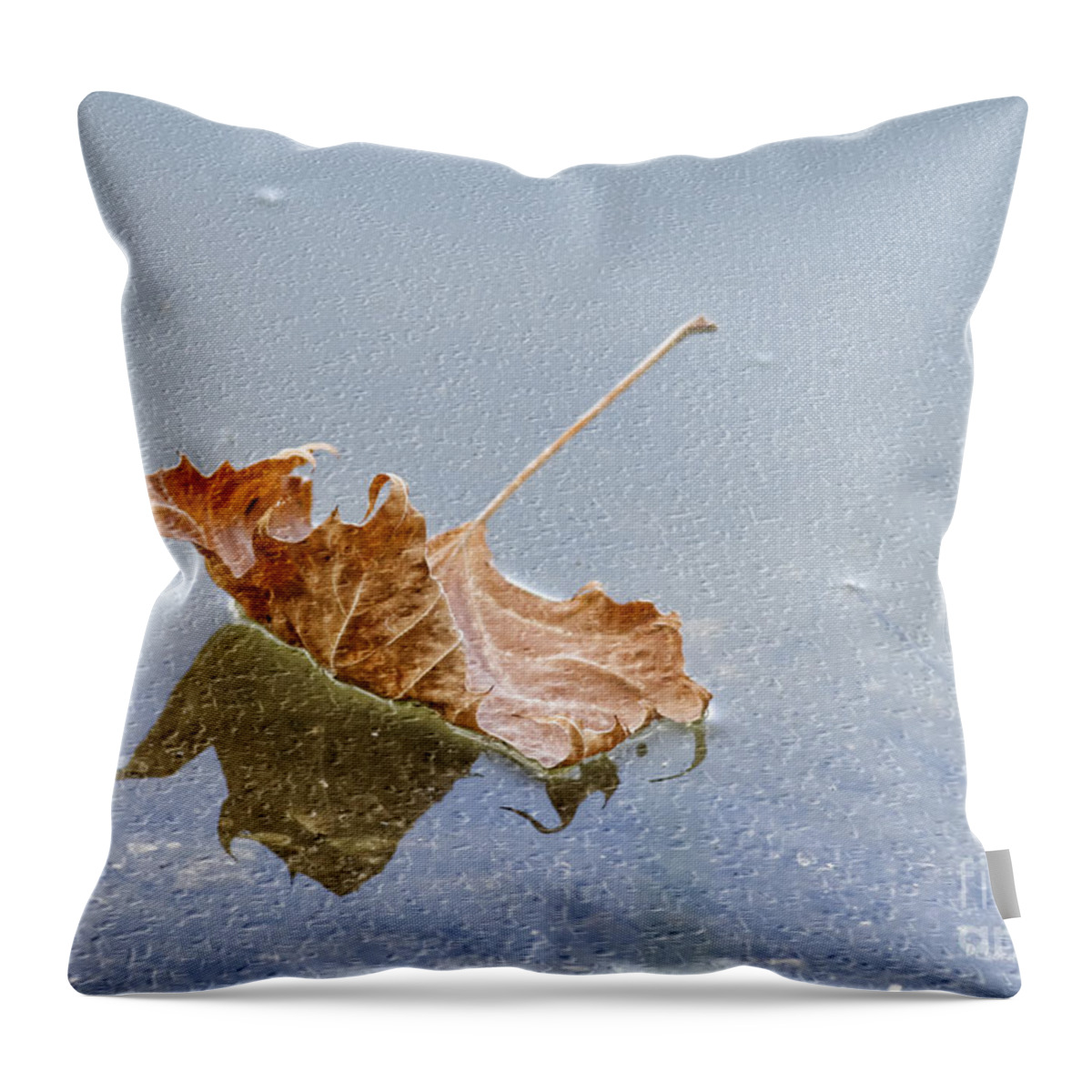 Leaf Throw Pillow featuring the photograph Floating Down Lifes Path 2 by Deborah Benoit