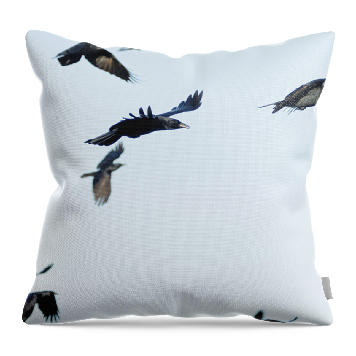 Flock Throw Pillow featuring the photograph Flock of crows by Bradford Martin