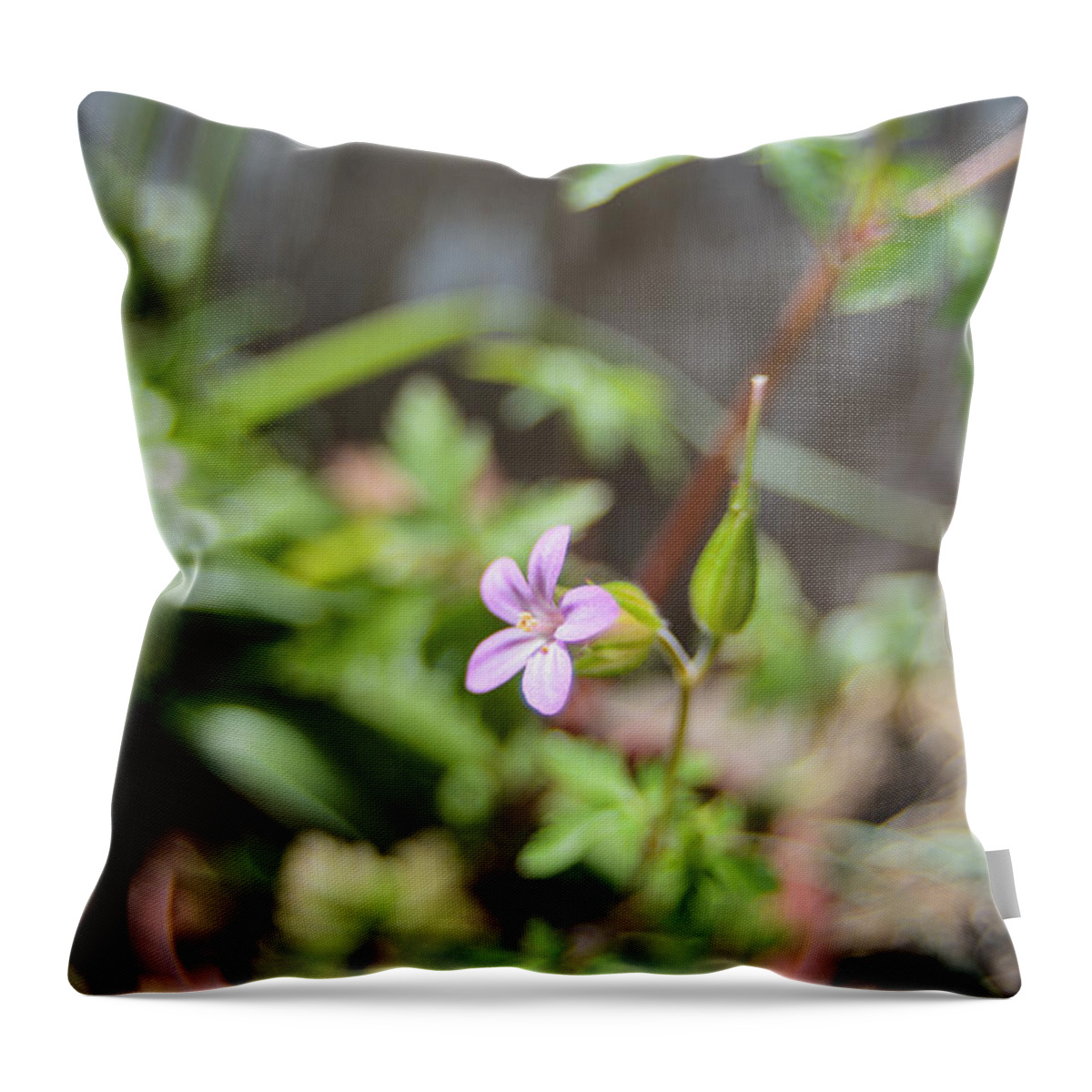Agricultural Throw Pillow featuring the photograph Floret by Michael Goyberg