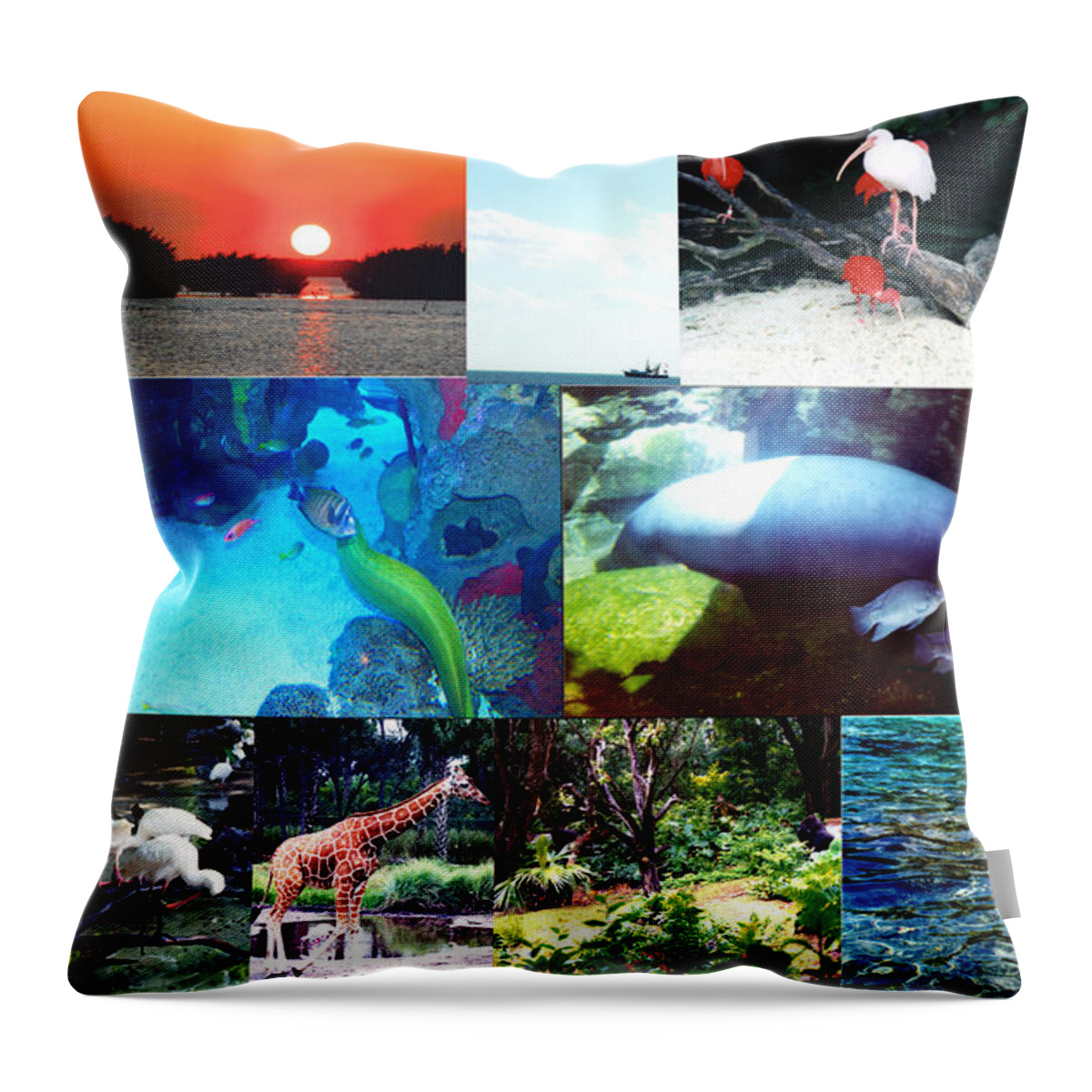 All Throw Pillow featuring the photograph Florida Collage 001 by Maureen E Ritter