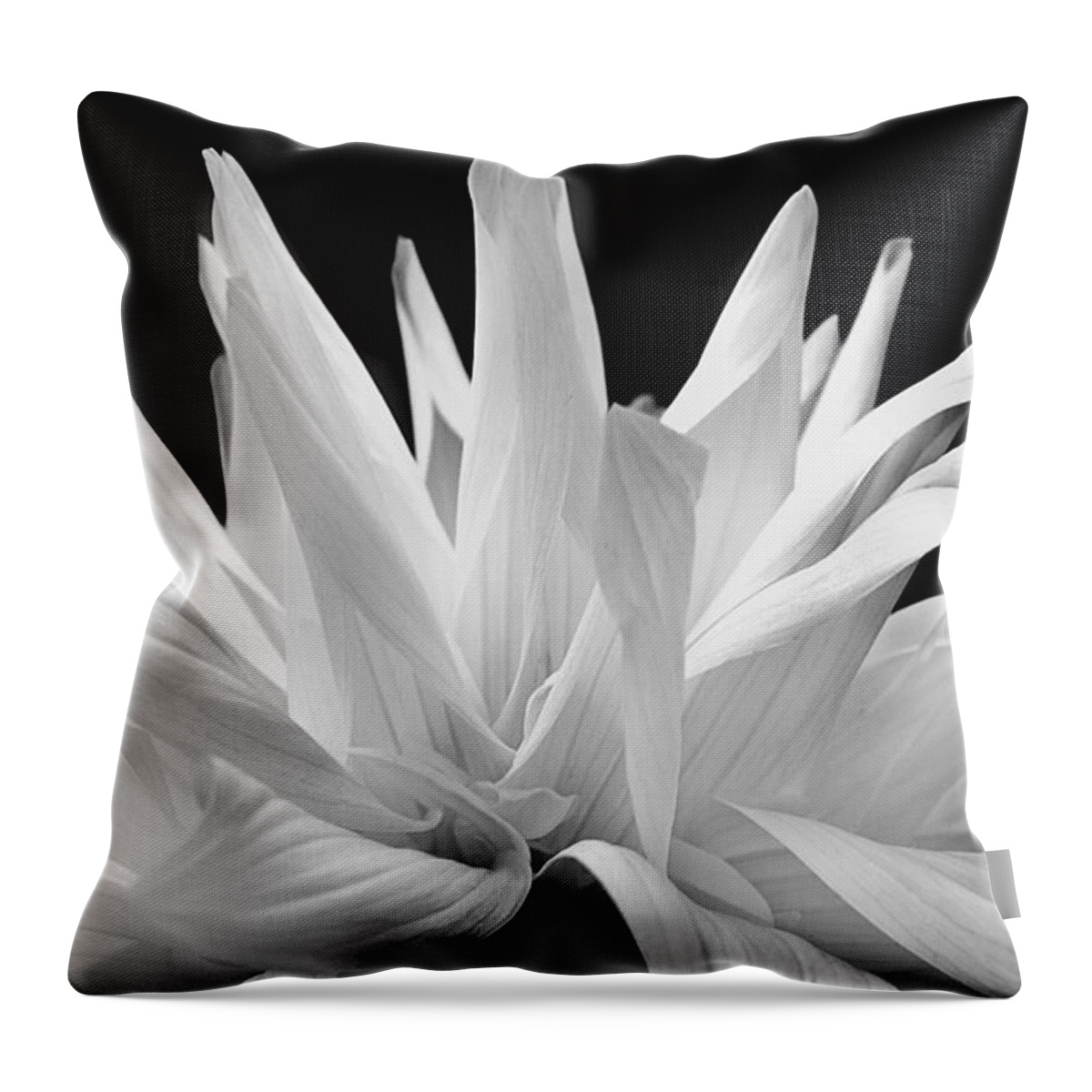 White Flower Throw Pillow featuring the photograph Flower 11 by Burney Lieberman
