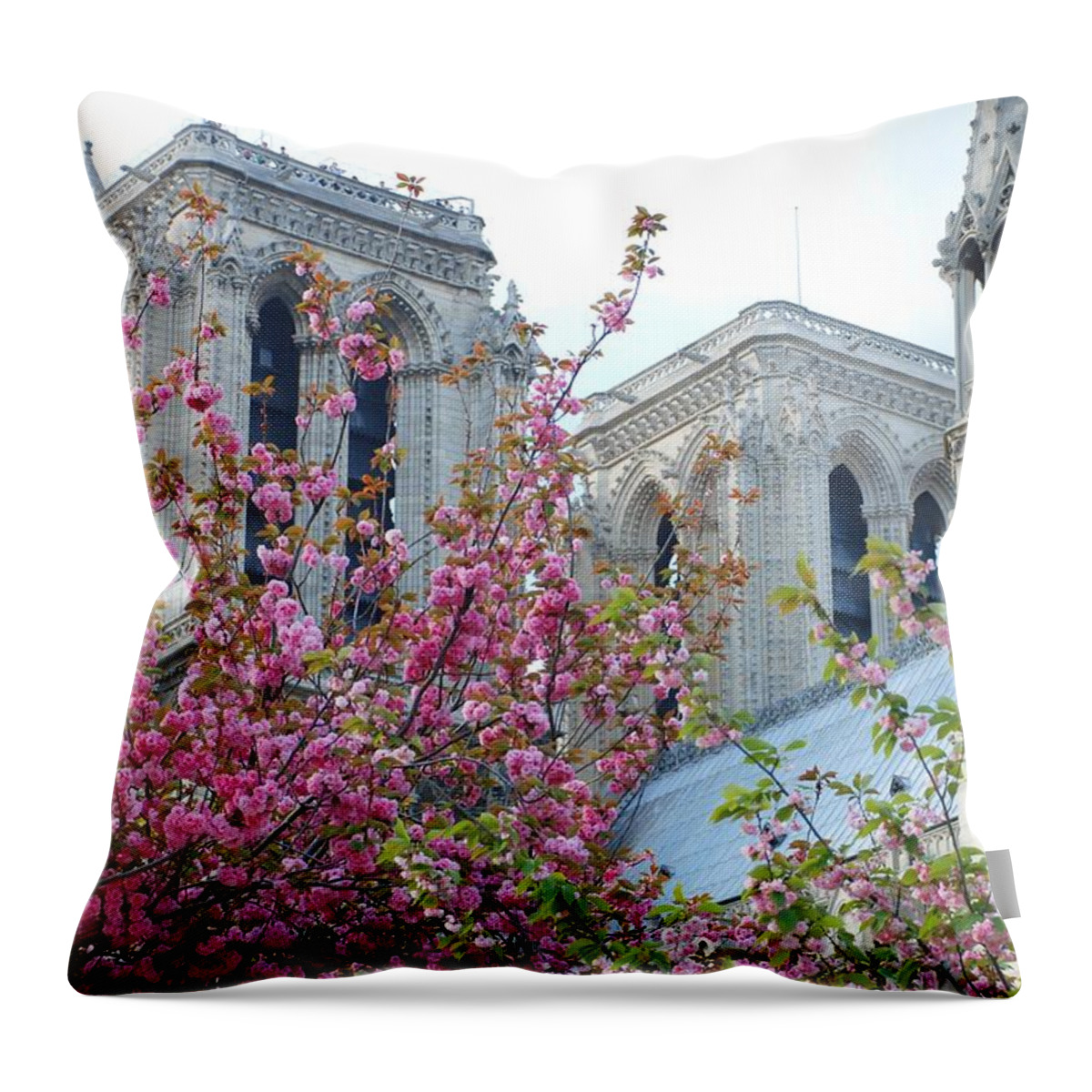 Notre Dame Throw Pillow featuring the photograph Flowering Notre Dame by Jennifer Ancker
