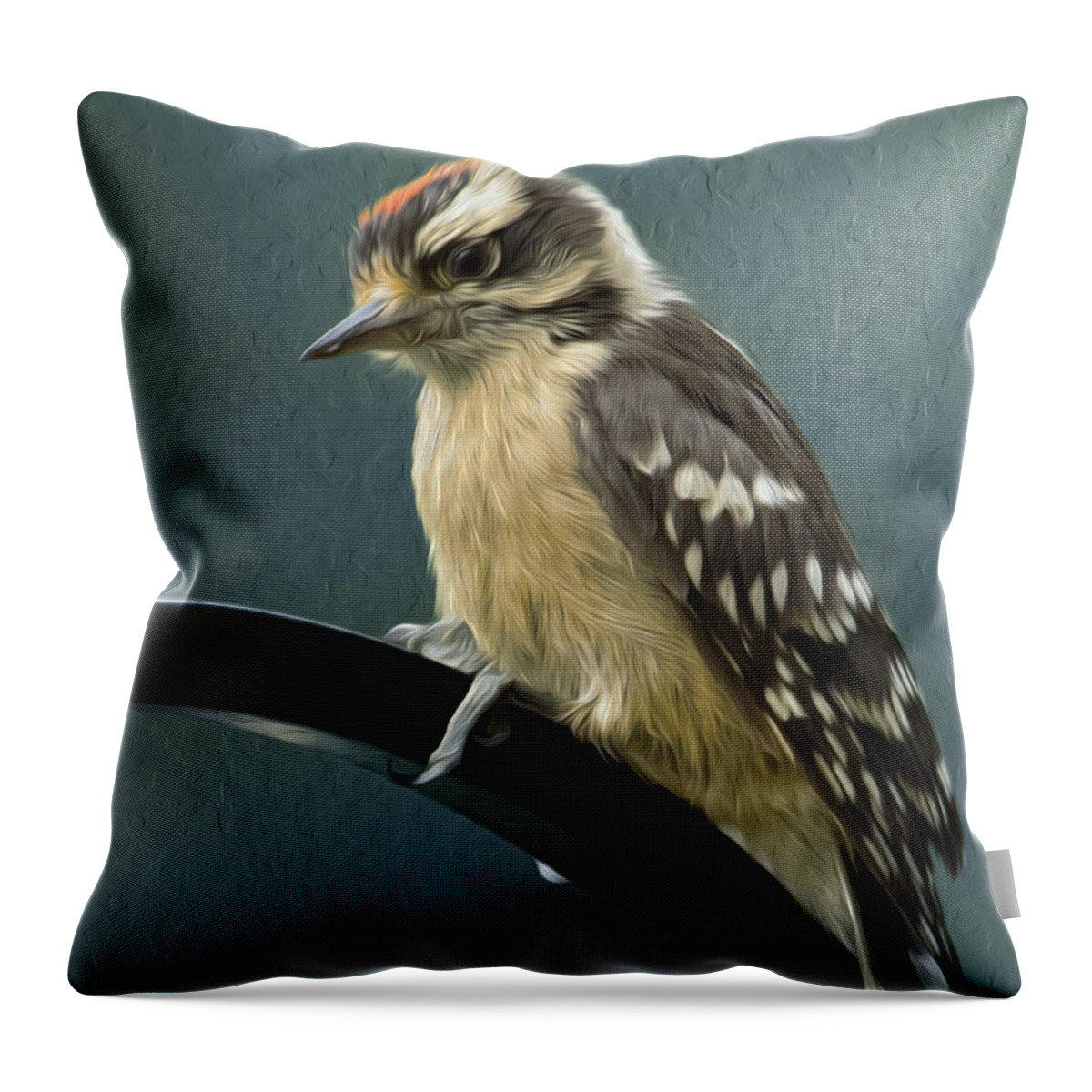 Bird Throw Pillow featuring the photograph Flowing Downy Woodpecker by Bill and Linda Tiepelman
