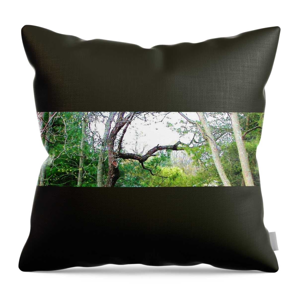 Trees Throw Pillow featuring the photograph Flying Branch by Pamela Hyde Wilson