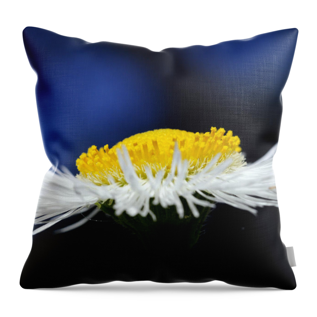 Weed Throw Pillow featuring the photograph Flying Saucer by Wanda Brandon