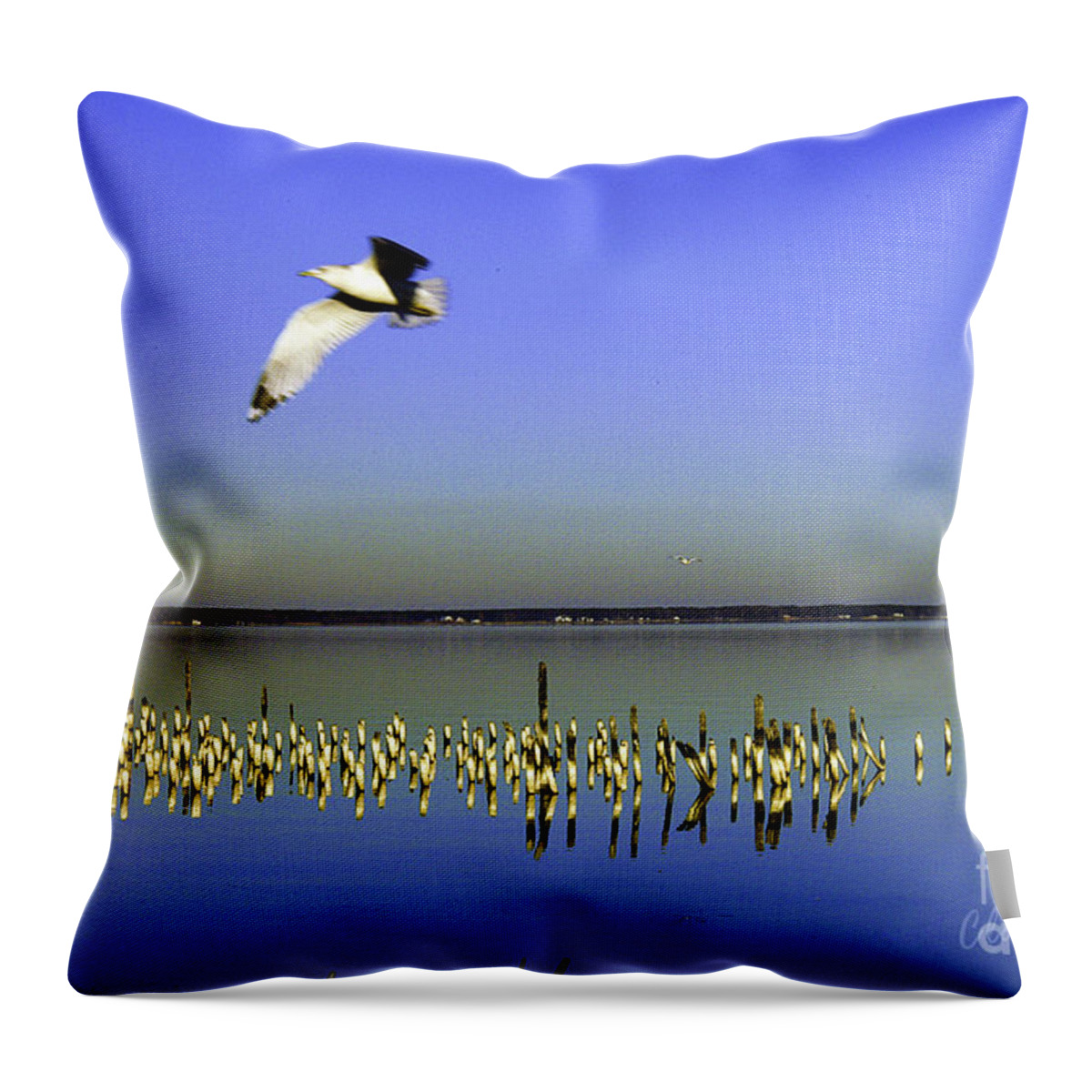 Art Throw Pillow featuring the photograph Flying Solo by Clayton Bruster