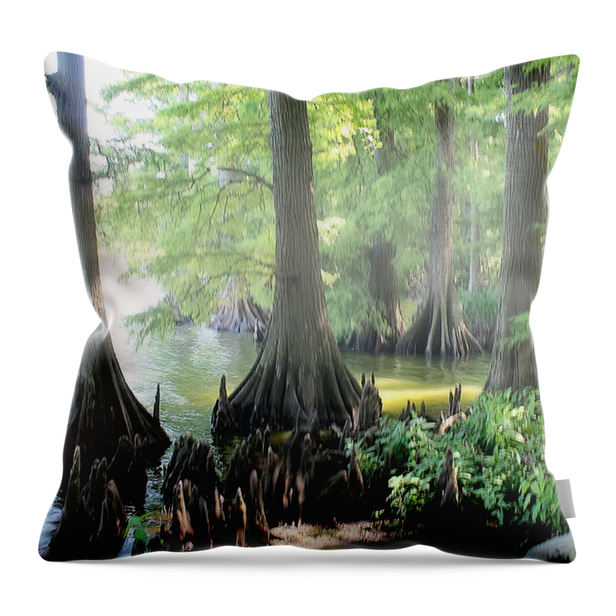 Reelfoot Lake Throw Pillow featuring the photograph Foggy Reelfoot Lake by Bonnie Willis