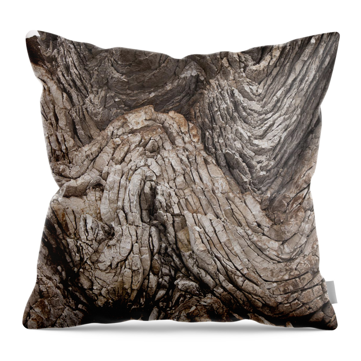 00479594 Throw Pillow featuring the photograph Folded Limestone Layers Kaikoura New by Colin Monteath