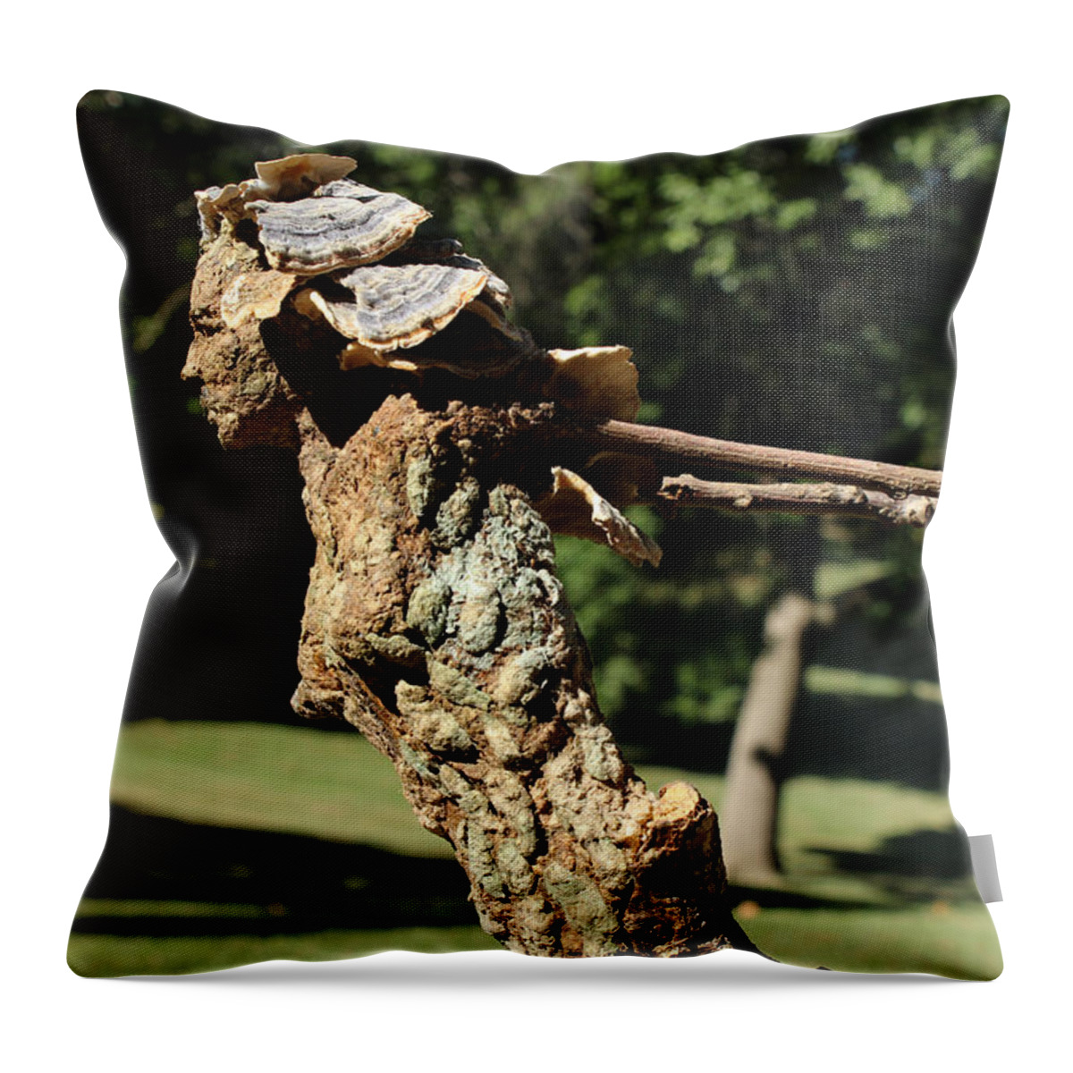Art Throw Pillow featuring the mixed media Foliated Victory among the trees by Adam Long