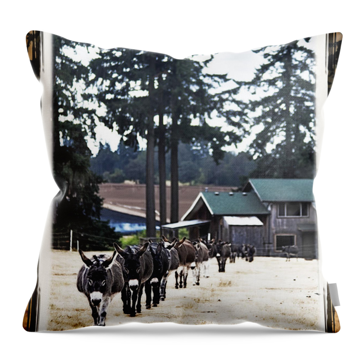 Donkey Throw Pillow featuring the photograph Follow My Lead by Tiana McVay
