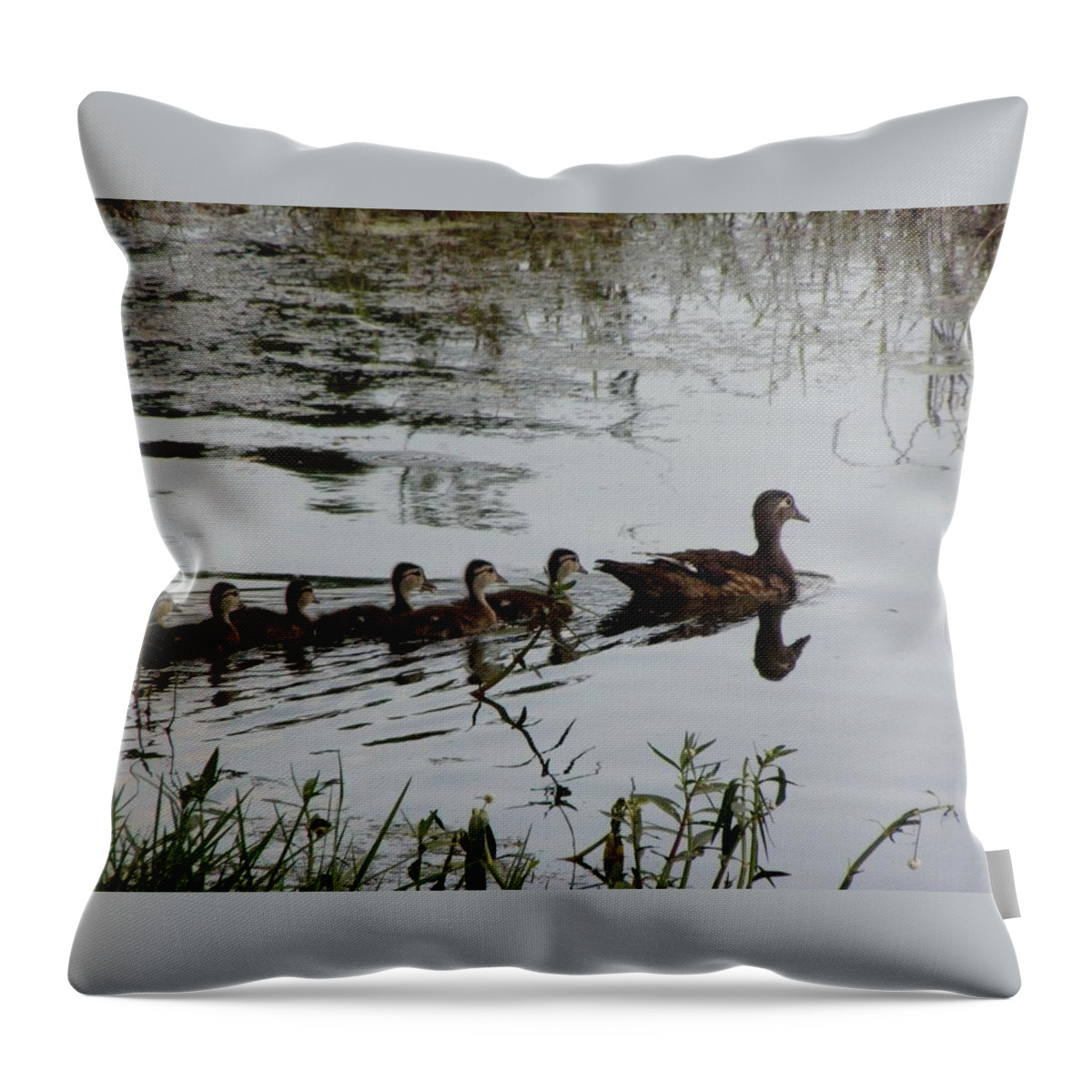 Woodduck Throw Pillow featuring the photograph Follow The Leader by Kim Galluzzo