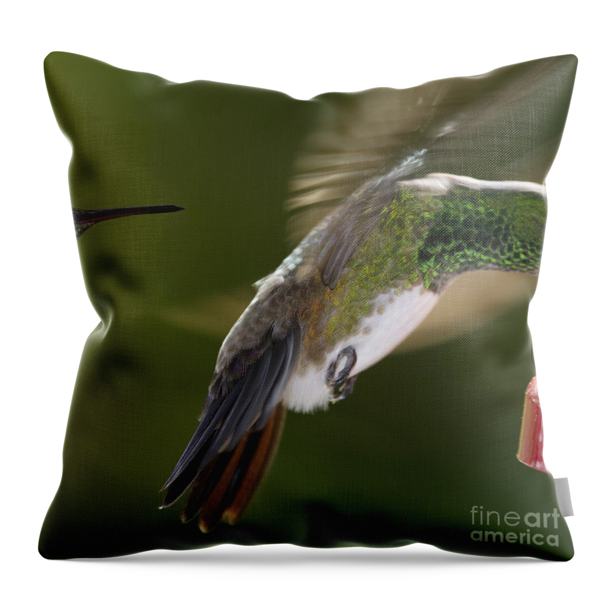 Hummingbird Throw Pillow featuring the photograph Follow-up by Heiko Koehrer-Wagner