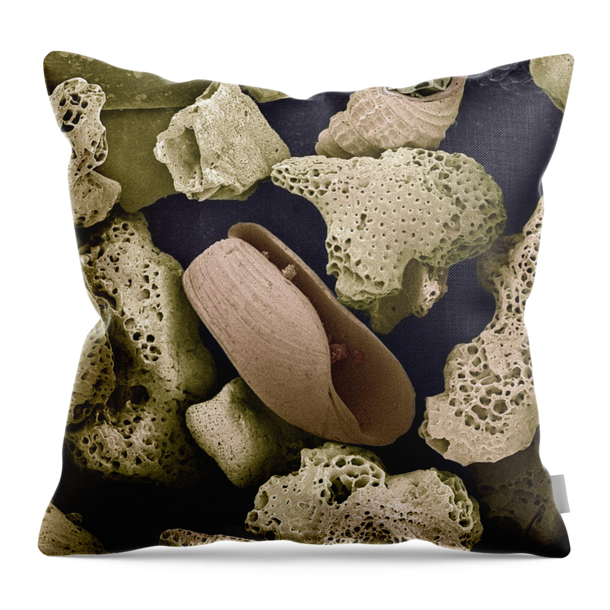 Mp Throw Pillow featuring the photograph Foraminiferans Molluscs and Bryozoans SEM by Albert Lleal