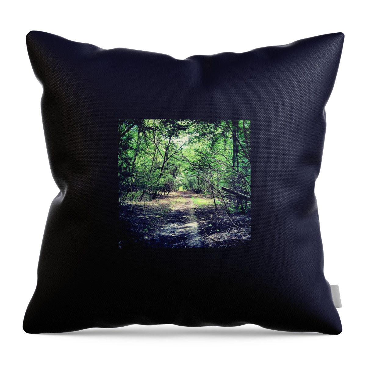 Forest Throw Pillow featuring the photograph Forest Path by Vicki Field