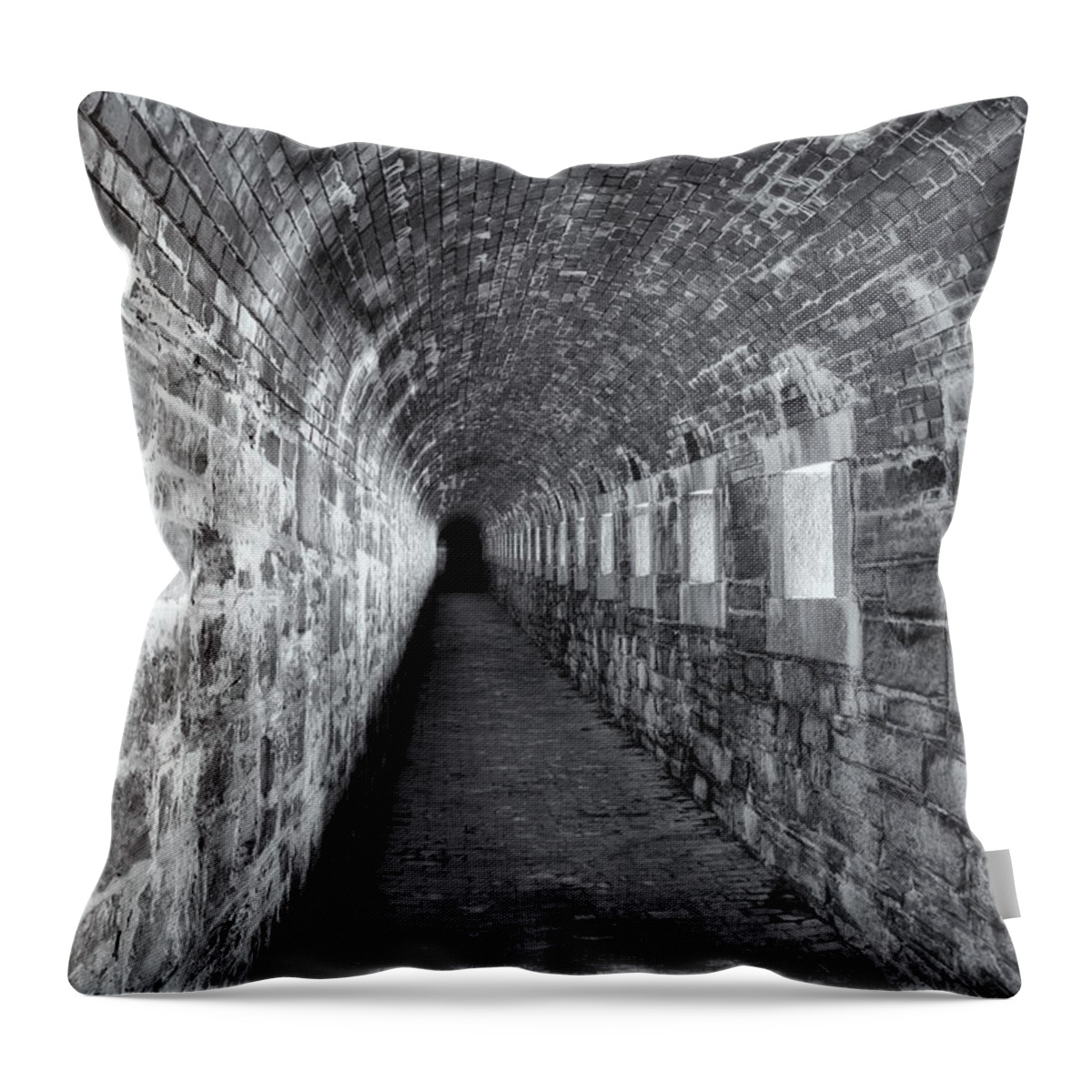 Clarence Holmes Throw Pillow featuring the photograph Fort Knox Rifle Gallery II by Clarence Holmes