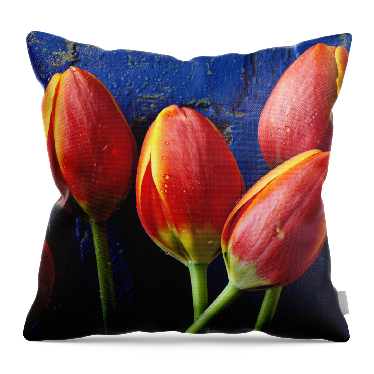 Four Throw Pillow featuring the photograph Four orange tulips by Garry Gay