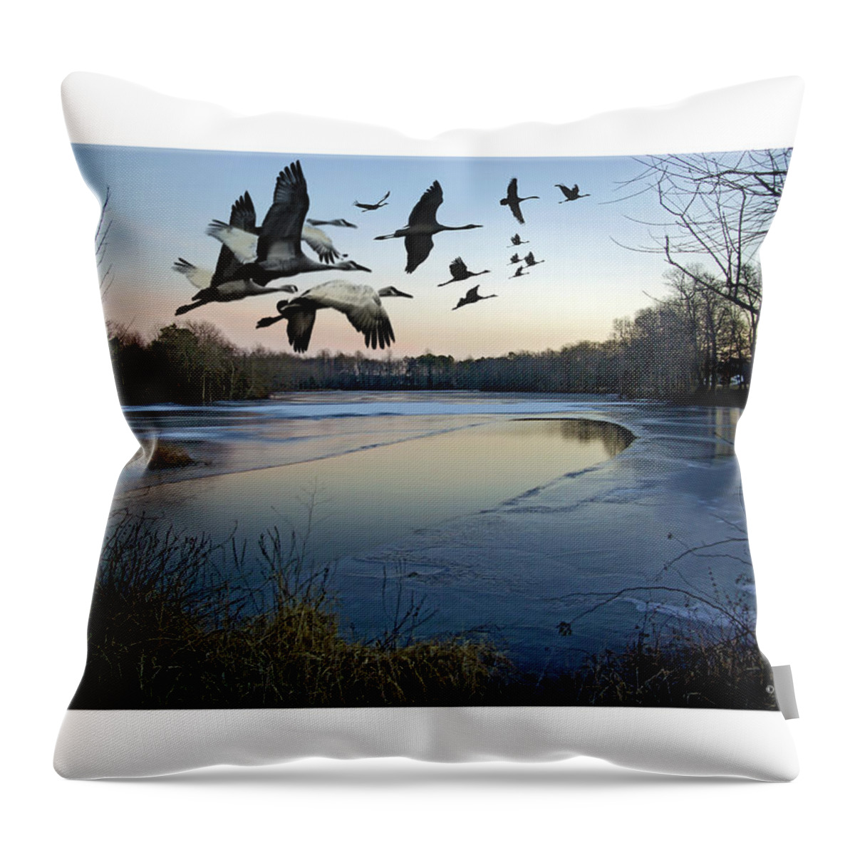 2d Throw Pillow featuring the photograph Freezing Landscape by Brian Wallace