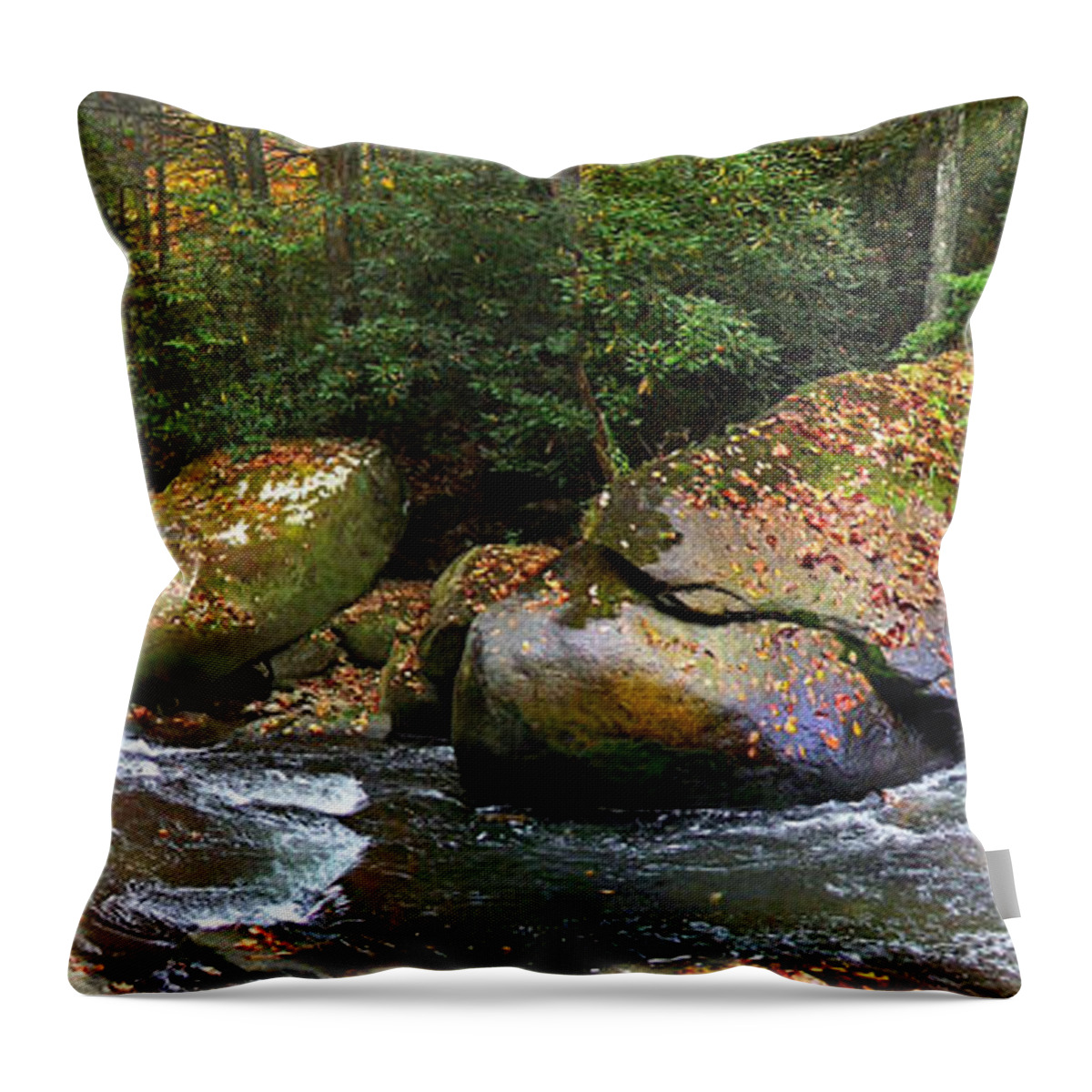 French Broad Throw Pillow featuring the photograph French Broad Waterfall in the Fall 4 near Balsam Grove NC by Duane McCullough