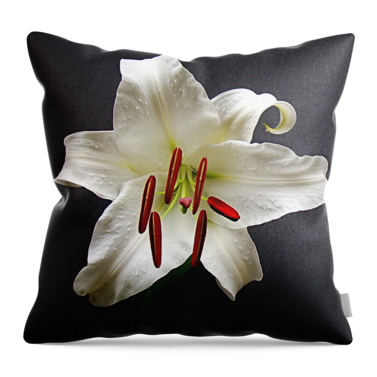 Lily Throw Pillow featuring the photograph Fresh at Daybreak by Nick Kloepping