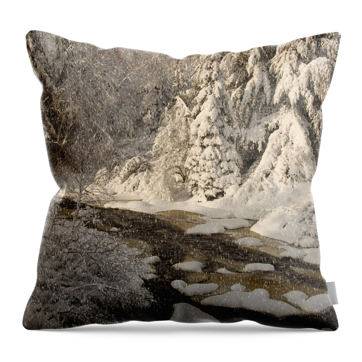 Snow Throw Pillow featuring the photograph Fresh Snow by Alana Ranney