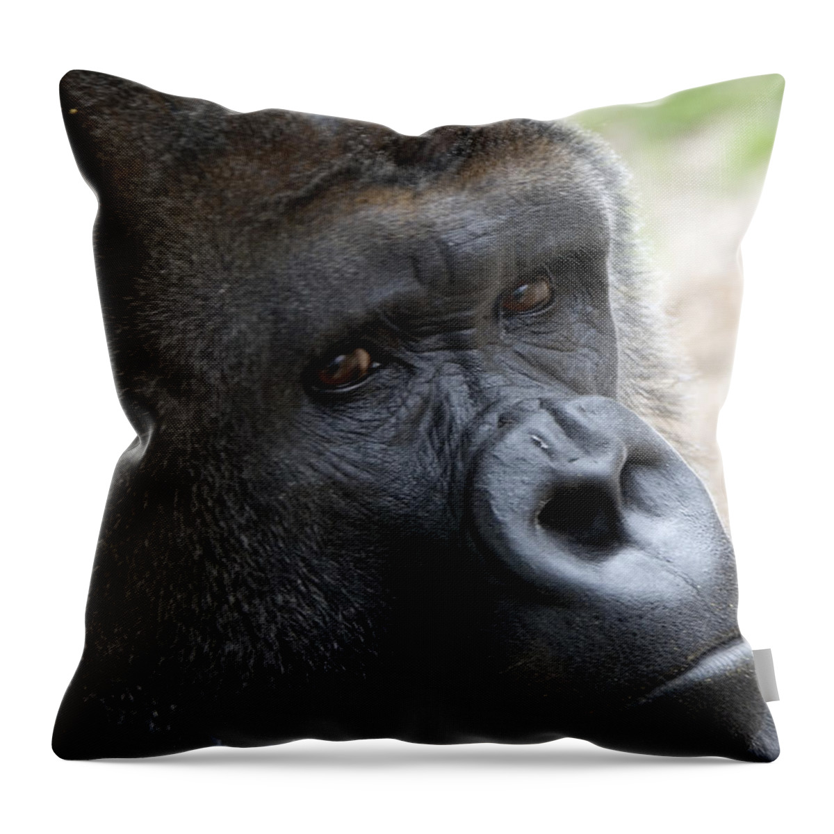 Mammal Throw Pillow featuring the photograph Friend by Kathy Besthorn
