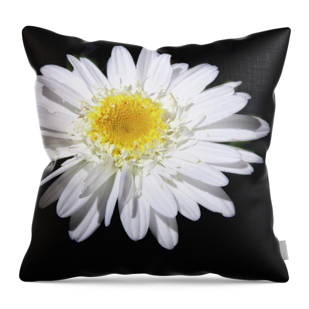 Nature Throw Pillow featuring the photograph Frilly Daisy by Peg Runyan