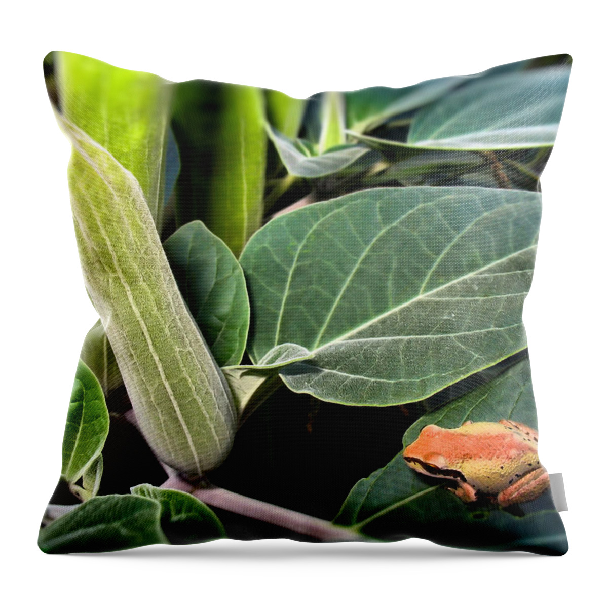 Frog Throw Pillow featuring the photograph Frog and Moonflower by Joyce Dickens