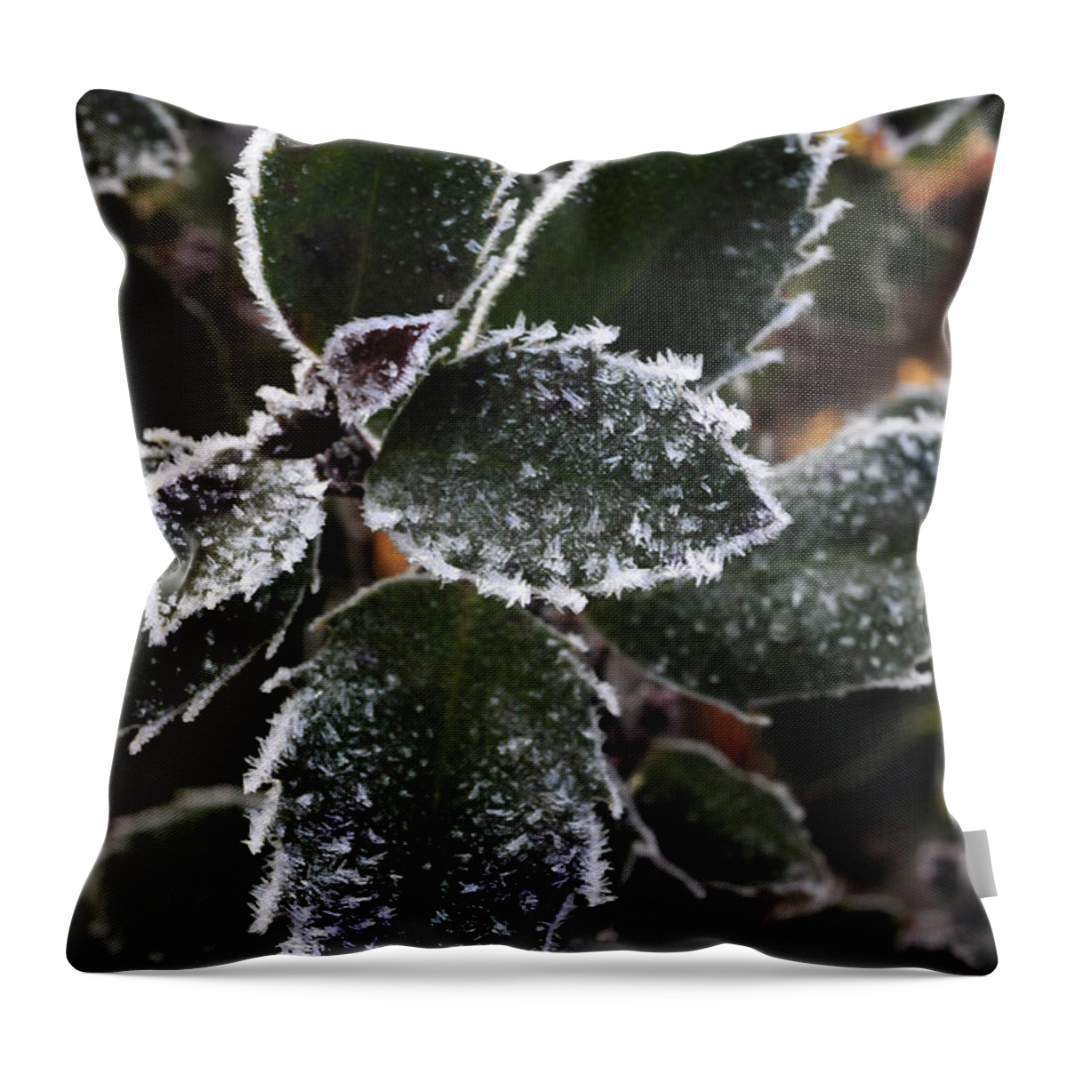 Holly Throw Pillow featuring the photograph Frost Covered Holly Bush by Wanda Brandon