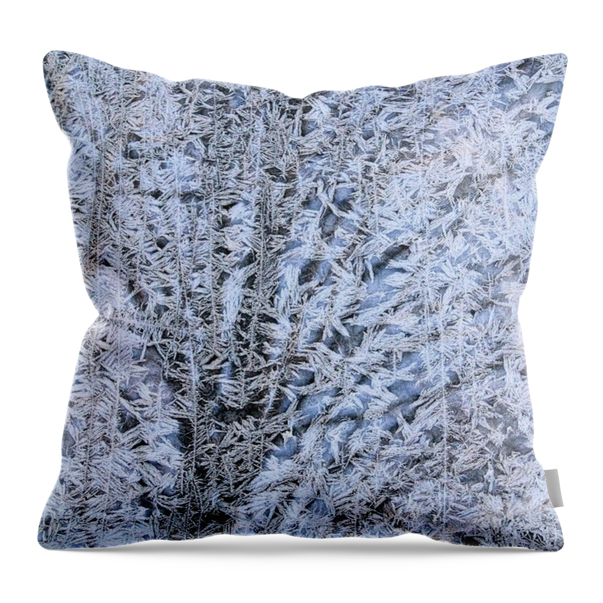 Frost Throw Pillow featuring the photograph Frosted tree by Doris Potter