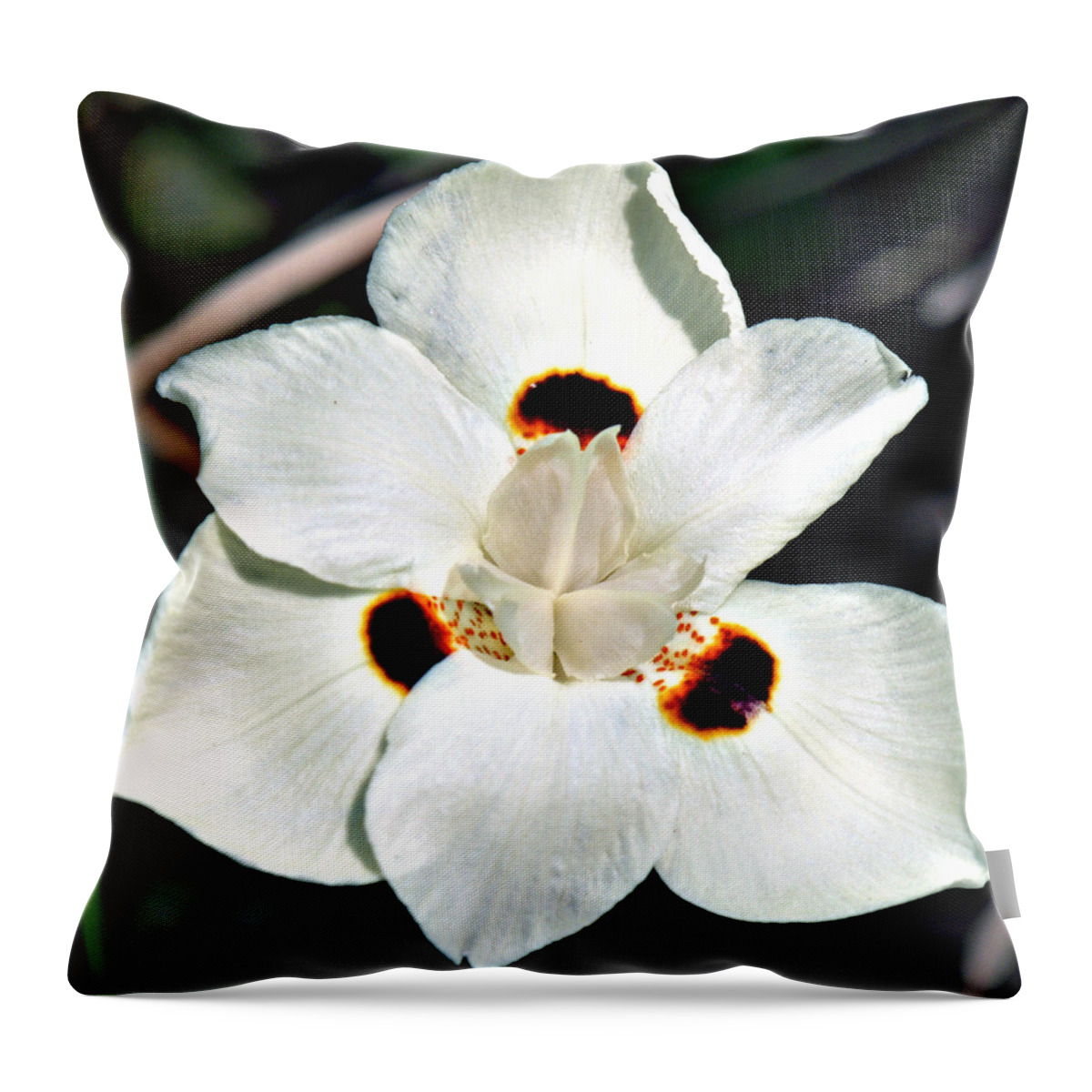 Flower Throw Pillow featuring the photograph Full Bloom by Bob Johnson