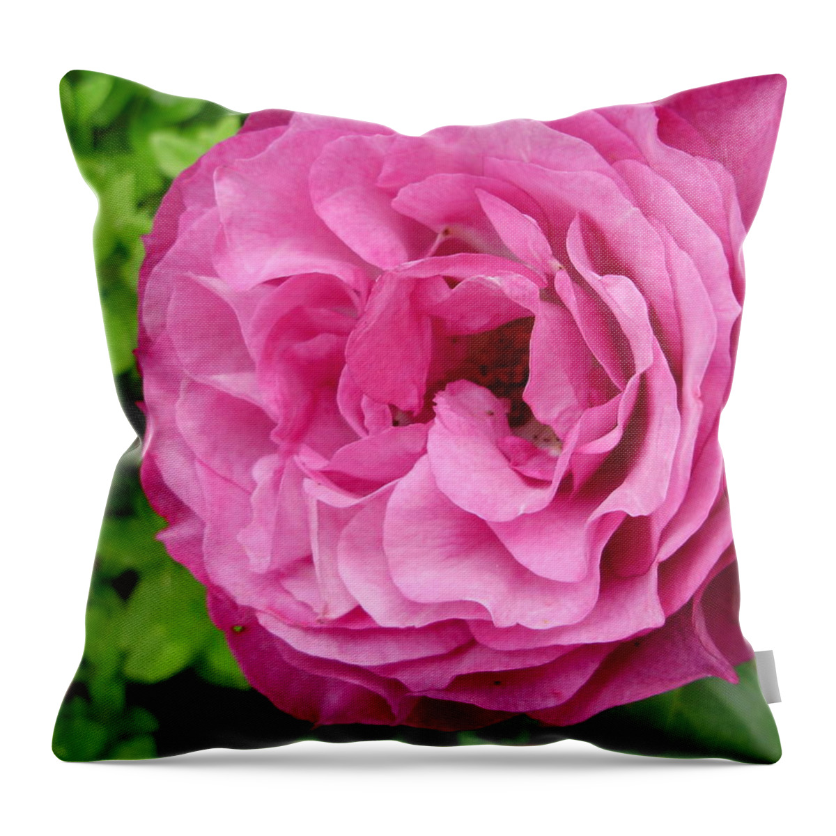 Flowers Throw Pillow featuring the photograph Fuschia Surprise by Anjel B Hartwell