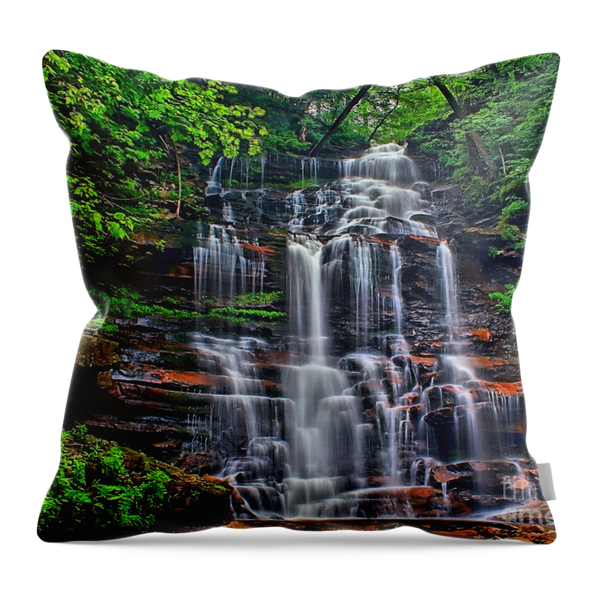 Ganoga Throw Pillow featuring the photograph Ganoga Falls Ricketts Glen by Nick Zelinsky Jr