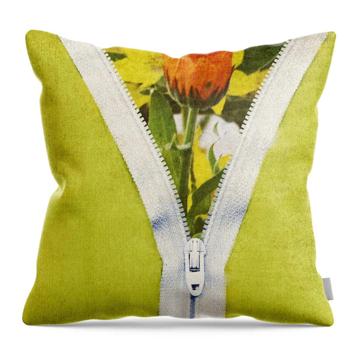 Mixed Media Throw Pillow featuring the photograph Garden Window by Bonnie Bruno
