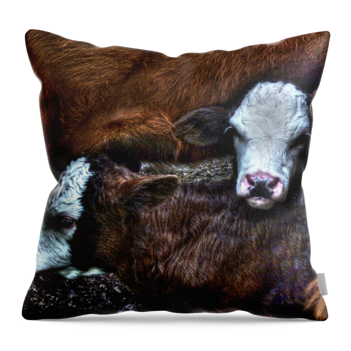 Gemini Throw Pillow featuring the photograph Gemini by William Fields