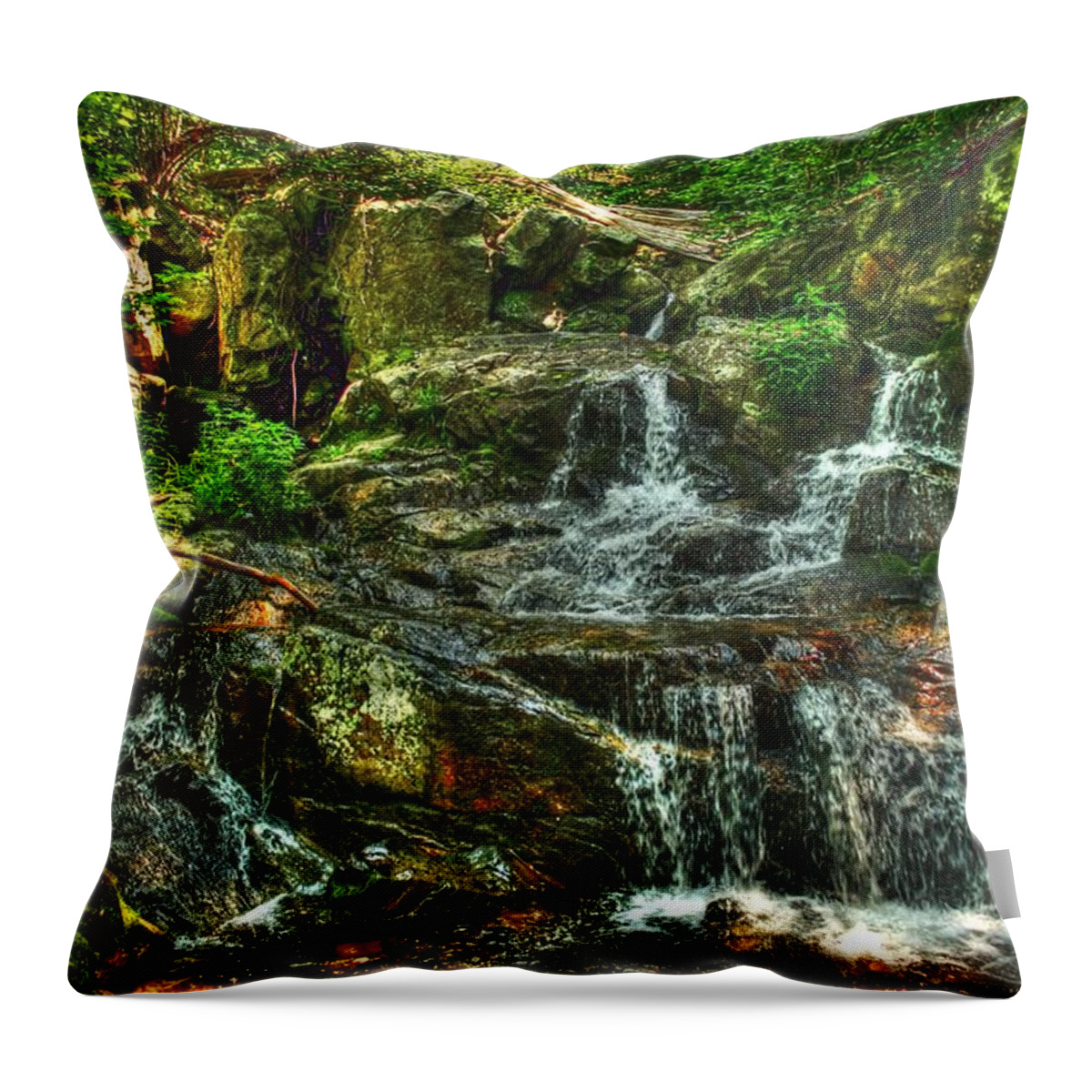Water Throw Pillow featuring the photograph Gentle Falls by Dan Stone