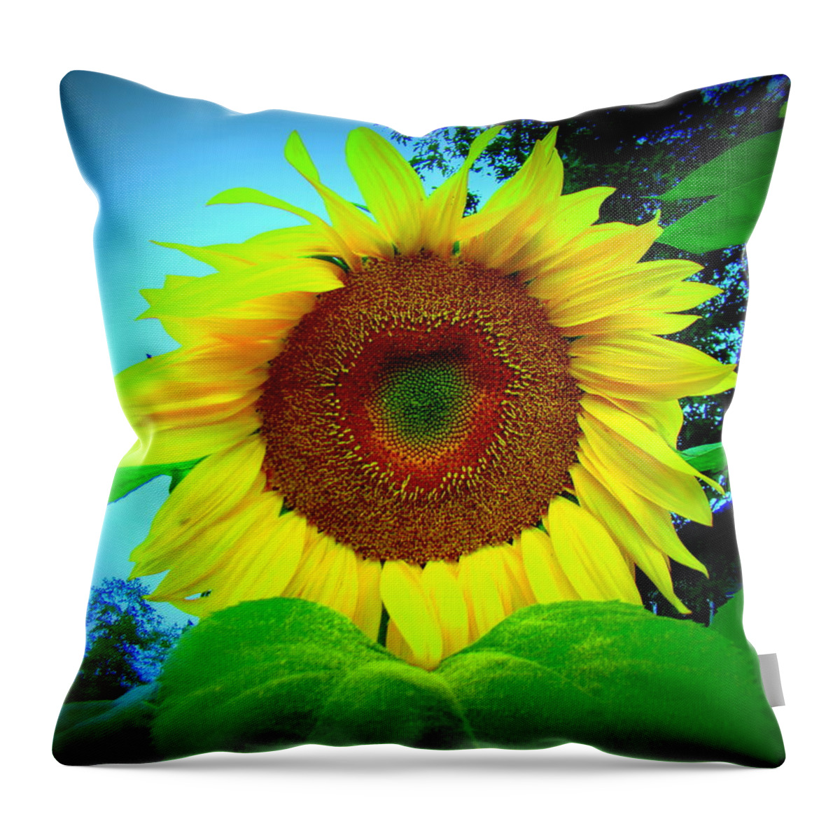 Sunflower Throw Pillow featuring the photograph Giant kissing Sunflower by Lisa Rose Musselwhite