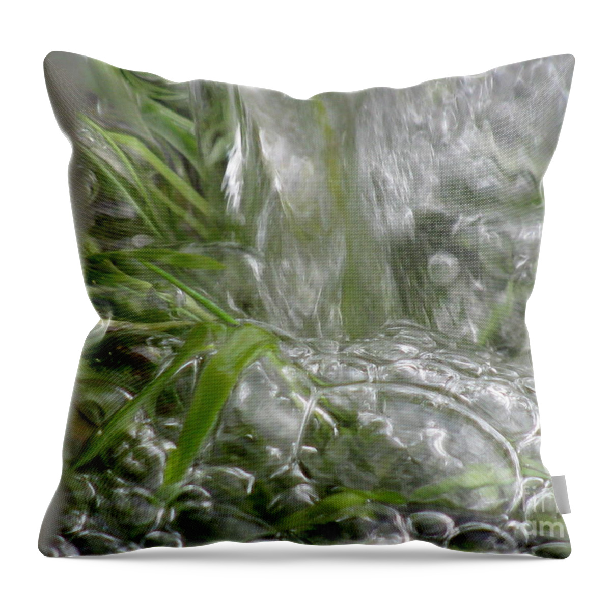 Flower Throw Pillow featuring the photograph Glance by Holy Hands